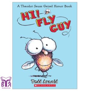 Hi! Fly Guy